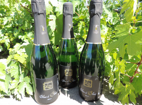 Domaine des Bourrats - Méthode Traditionnelle Blanc de Blancs - 3 bouteilles