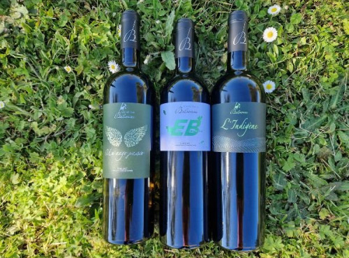 Château Balsamine - Lot Blanc Sec – AOP Gaillac – Château Balsamine – 3 Cuvées (6 bouteilles)
