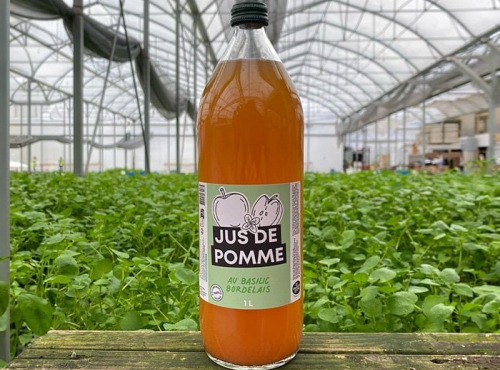 Les Nouvelles Fermes - Jus de pomme au basilic (1L) x 6