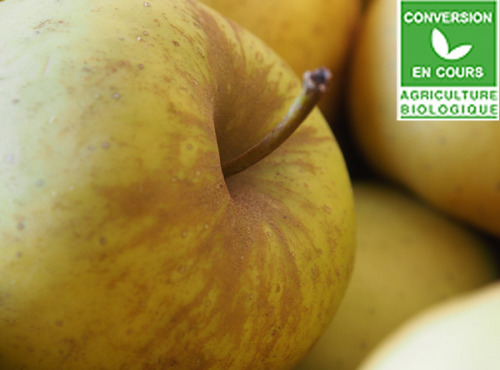Mon Petit Producteur - Pomme Belchard Bio