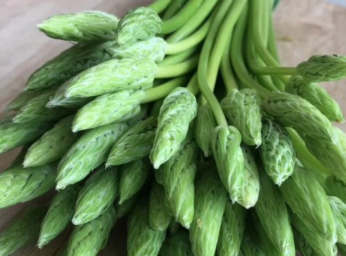 ChâteauFer - Asperge sauvage des bois - Ornithogale 100g