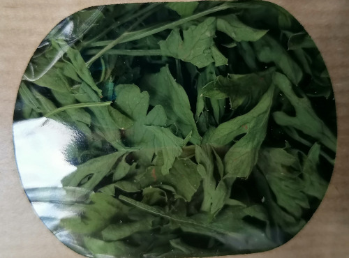 Les Jardins du Mas de Greil - Persil Plat En Sec