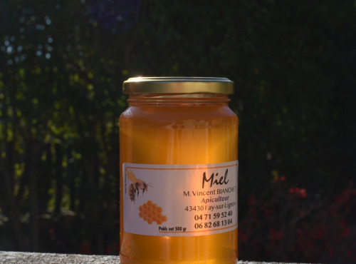 La Truite du Mézenc - Miel de rhododendron 500g