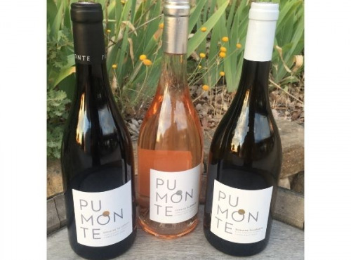 Depuis des Lustres - Comptoir Corse - Calvi Pumonte - Domaine Alzipratu - Trio