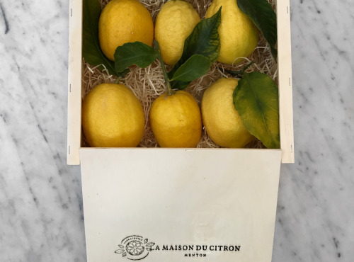 Maison Gannac - Coffret 6 Citrons De Menton Igp Bio