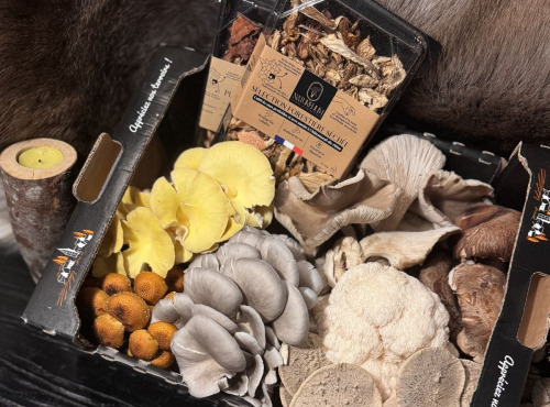 Naturélium - Panier Gourmand de Fin d’Année – Champignons d’Exception