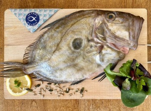 La Criée d'à Côté - Saint Pierre | 1kg (1 à 2 pièces)