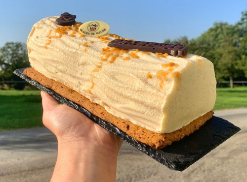 Glaces de Meuse - Bûche Glacée "Caramel Givré" (12-14 parts)