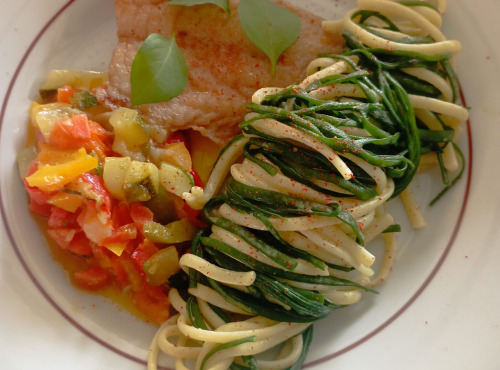 Algolesko - Algue Haricot de mer Bio 250g