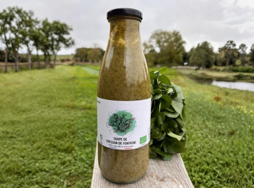 Cressonnière de Montmirault - Soupe au cresson de fontaine 6x75cl