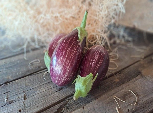 Les Jardins de Gérard - Aubergine striée Bio - 1 kg