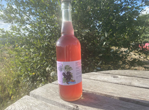 Ferme Sinsac - Pétillant de Cassis sans alcool