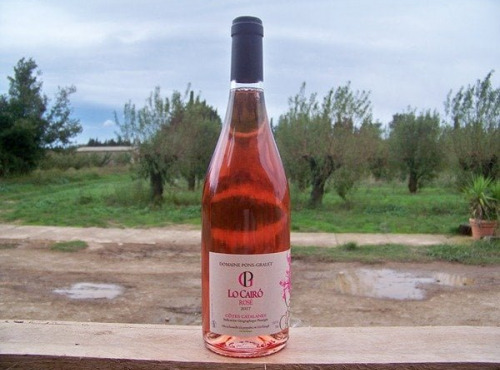 Domaine Pons Gralet - Vin Rosé IGP - Cotes Catalanes 2023 Bio x12