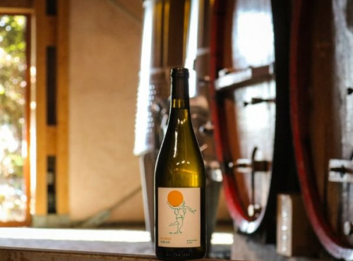 La Balle - Vin nature Blanc La Balle La Balèze 6x75cl