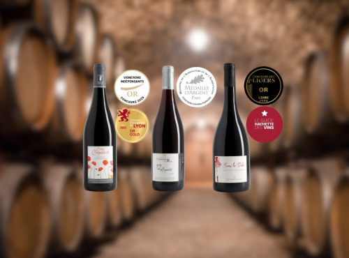 Domaine de la Chopinière du Roy - Coffret Or et Argent - 3 bouteilles de vins rouges Saint Nicolas de Bourgueil médaillés - 3 x 75 cl