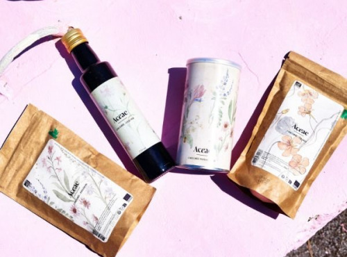 Chicorée Aceae - Pack Découverte – 4 saveurs, 4 plaisirs