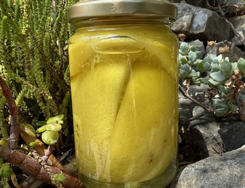L’Oliveraie du Coudon - CITRON CONFIT QUARTS BIO EN POT DE 140GR