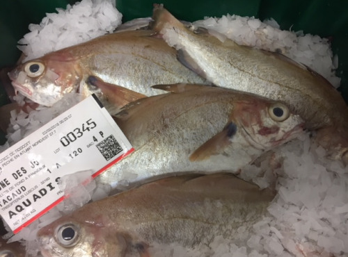 AQUADIS NATURELLEMENT - Filets De Tacaud Sans Peau Sans Arête