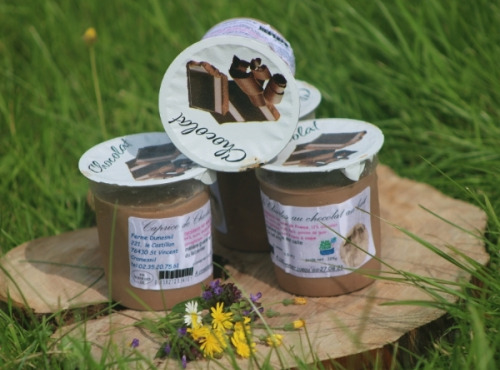 Ferme Dumesnil - Crème Dessert Chocolat au Lait