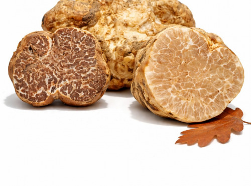 Truffes des Roches - Truffe Blanche Borchii (Italie) 100g