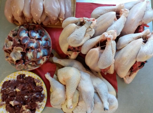 Les poulets de la Marquise - Colis Ecureuil - Poulet Bio - 22kg