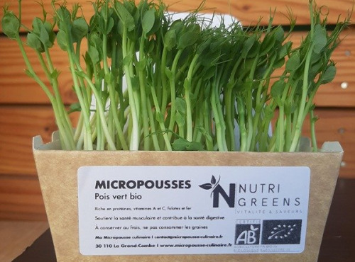 Ma Micropousse culinaire - Micro pousses de pois vert Bio 16 barquettes