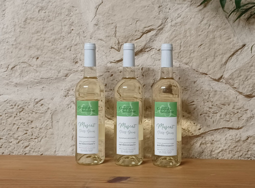 Domaine Les Conques Soulière - MUSC 3x75 Muscat Petits Grains