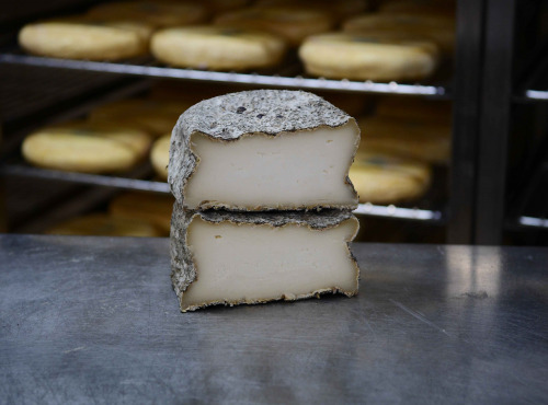 Alléosse Maitre Artisan Affineur Fromager - Brin d'Amour artisanal aux herbes du maquis au lait cru (entier)