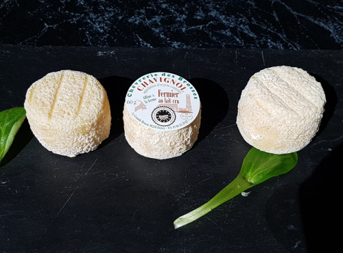 Les Délices de la Chèvrerie - Crottin De Chavignol x3