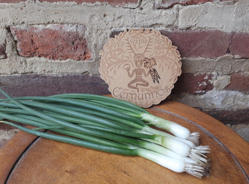 Ferme de Cernunnos - Botte d'oignons blancs Bio - 100g