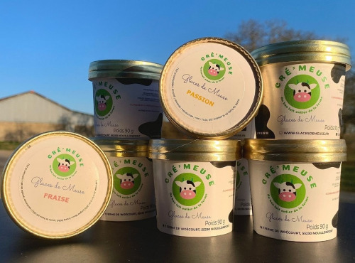 Glaces de Meuse - Gamme complète - P'tits pots x 19 (crèmes glacées + sorbet PF)