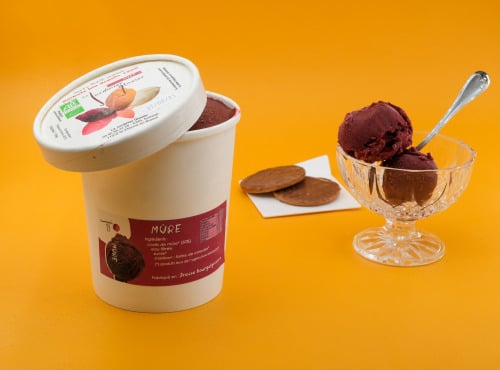 Le Jardinier Glacier - Sorbet Mure 1 litre