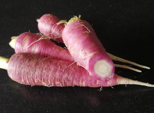Ferme de Carcouet - Carottes Violettes Bio - 1 kg