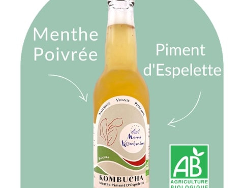 Mama Kombucha - Kombucha Menthe, Piment D'espelette - Baïgura