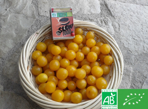 LES JARDINS DE KARINE - Prune Myrobolan jaune - 1kg