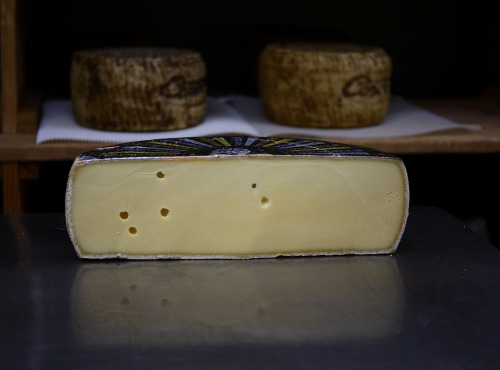 Alléosse Maitre Artisan Affineur Fromager - Appenzeller extra au lait cru à la saumure d'herbes aromatiques 250g