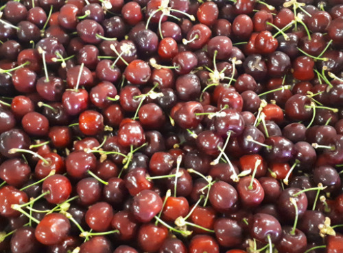 Le Châtaignier - Cerises - Colis De 2 Kg