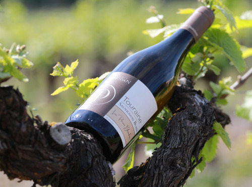 Domaine Daridan - Vin AOC Touraine Blanc 75cl