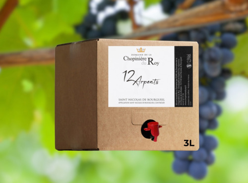 Domaine de la Chopinière du Roy - BIB de Vin Rouge Saint Nicolas de Bourgueil 2024 - 3 Litres