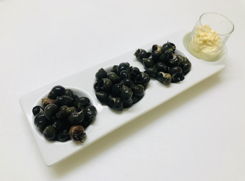 Mer Sea - Bigorneaux vivants 1 Kg