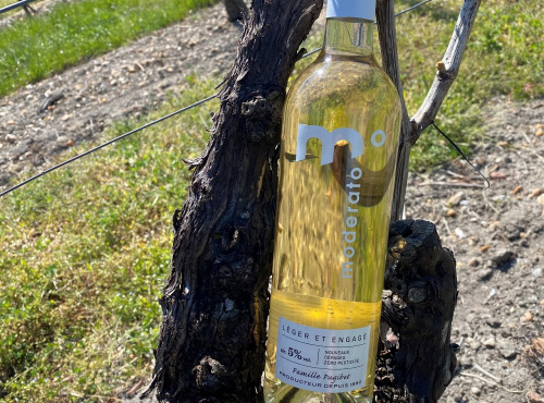 Moderato - Vin Blanc Pugibet Allégé Alcool 5%