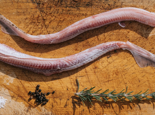 Côté Fish - Mon poisson direct pêcheurs - Roussette