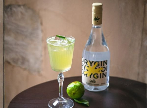 Sapio Spirits - Dry gin
français bio