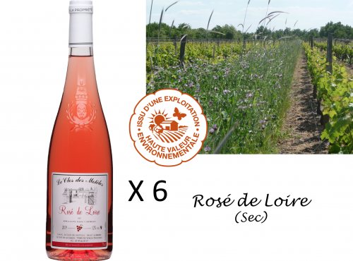 Château de Belleville Maison Baron - Aoc Rosé De Loire 2020. 6 Bouteilles
