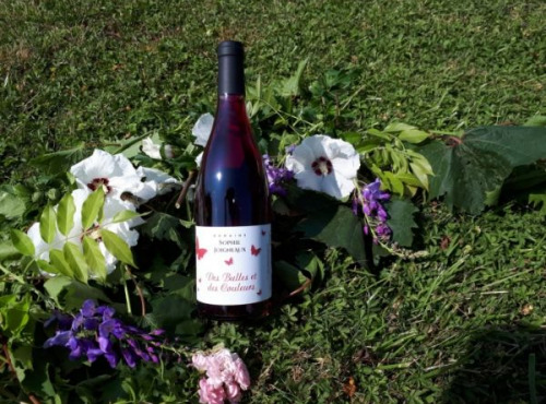 Domaine Sophie Joigneaux - IGP Rouge Sainte-Marie la Blanche Millésime 2018