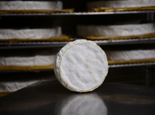 Alléosse Maitre Artisan Affineur Fromager - Camembert de Normandie Jort AOP au lait cru moulé à la louche