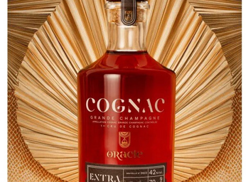 Mte Spiritueux - COGNAC EXTRA GRANDE CHAMPAGNE 1ER CRU 42% VOL AVEC ETUI