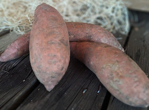 Les Jardins de Gérard - Patate douce Bio - 2 kg