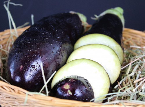 Le Châtaignier - Aubergine 1kg