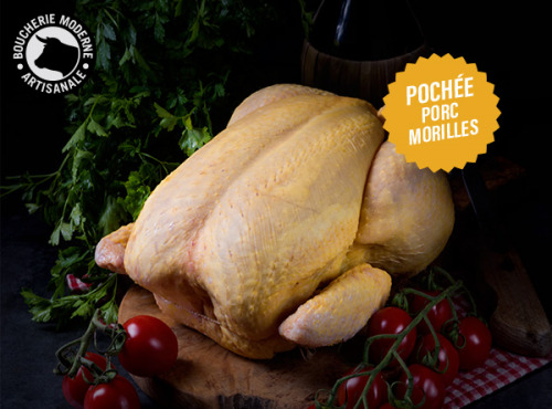Boucherie Moderne - [Précommande] Chapon Farce PORC / Morilles POCHÉ